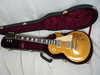 1982 Gold Top 30th.jpg